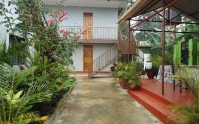 a room with many plants in a building at Urafiki House in Arusha