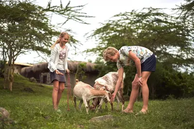a boy and a girl are looking at two sheep at Hillside Retreat – Africa Amini Life in Usa River