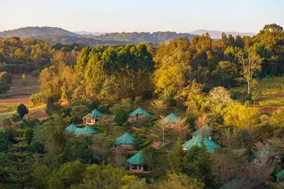 an aerial view of a resort in a forest at Turaco Ngorongoro Valley, a Tribute Portfolio Lodge in Karatu