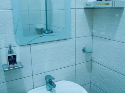 a bathroom with a sink and a mirror and a toilet at ILBORU HAVEN HOMEs in Arusha
