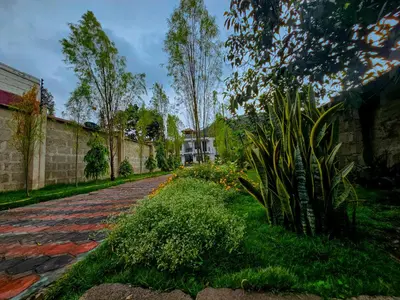 a garden with a brick road next to a wall at Fly Africa Village 2 in Arusha