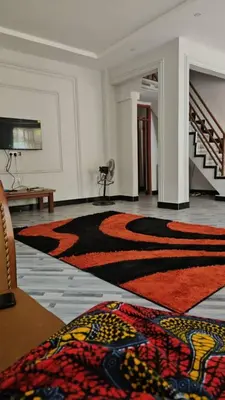 a large room with a rug on the floor at SEBA & Cherise in Usa