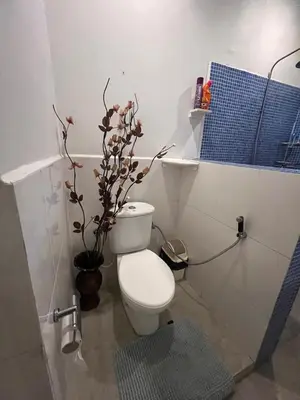 a bathroom with a toilet and a potted plant at JDs Home in Arusha