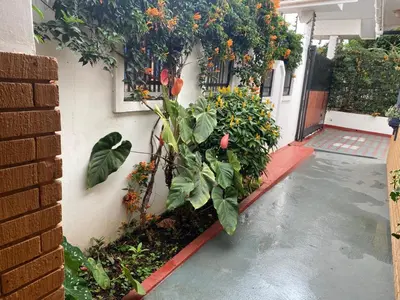 a garden with plants and flowers on the side of a building at JDs Home in Arusha