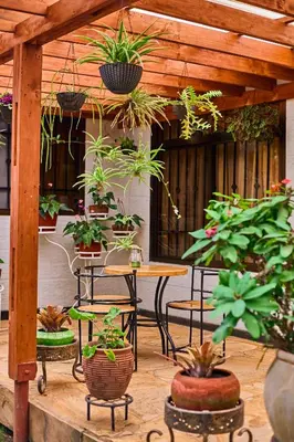 a patio with a table and chairs with potted plants at Lavish Luxury Homes in Tengeru