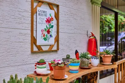 a shelf with potted plants and a sign on a wall at Lavish Luxury Homes in Tengeru