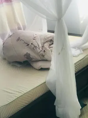 a bed with a pillow and a curtain on it at Bethlehem home in Arusha