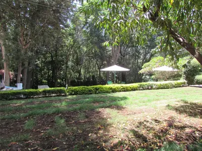 a park with two umbrellas in the grass at Equator Hotel in Arusha