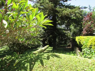 a garden with trees and bushes and grass at Equator Hotel in Arusha