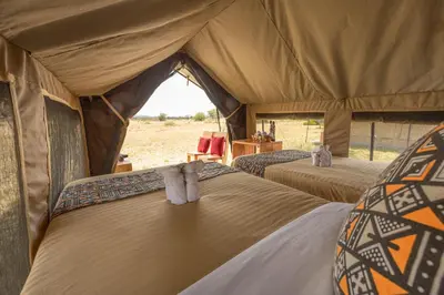 a group of four beds in a tent at Africa Safari South Serengeti Ndutu Camping in Sinoni