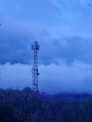 a cell phone tower in the sky above trees at Last fantasy ndoto ya mwisho in Arusha