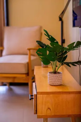 a plant sitting on a coffee table in a living room at Timeless Escape in Arusha
