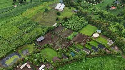 an aerial view of a garden with trees and plants at Kibo View Farm Lodge in Shiri