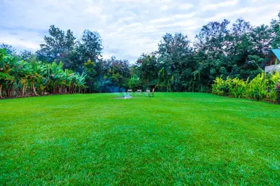 a large yard with green grass and trees at Kibo View Farm Lodge in Shiri