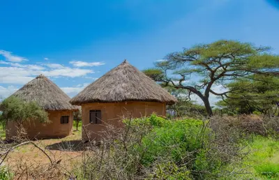 two houses with thatched roofs in a field at Kili View Maasai Lodge in Longido