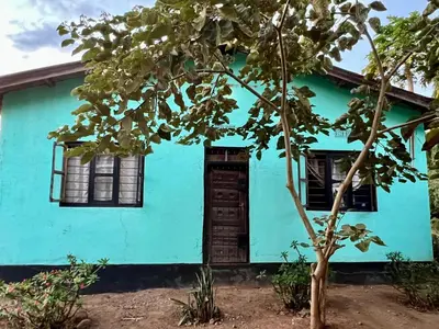 a blue house with a tree in front of it at Shambani Homestay in Moshi