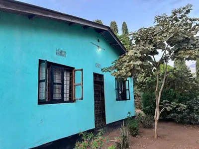a blue house with a tree in front of it at Shambani Homestay in Moshi