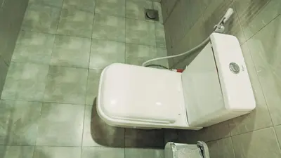 a bathroom with a white toilet in a room at Hatua Dahlia Home in Arusha