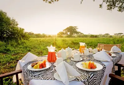 a table with plates of food on top of a field at Tarangire Sopa Lodge in Madege