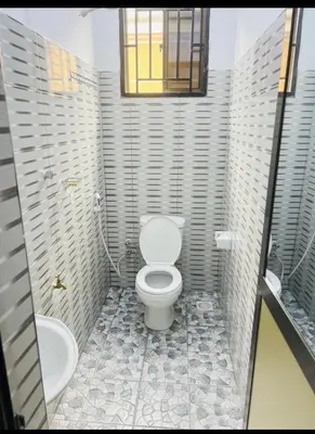 a bathroom with a toilet and a sink at Divine Homestay Arusha in Arusha