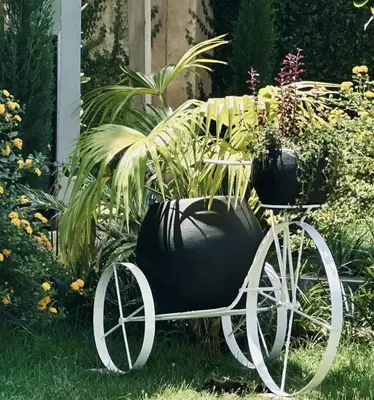 a black and white bike with plants on it at At Home Suites, Moshono Garden Arusha in Nkoanrua