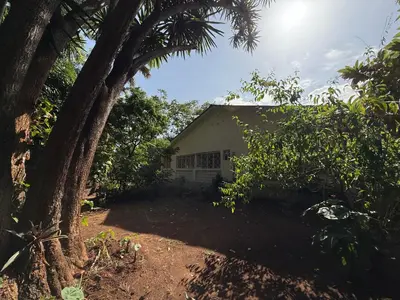a house with a palm tree in front of it at Malaika Oasis in Moshi