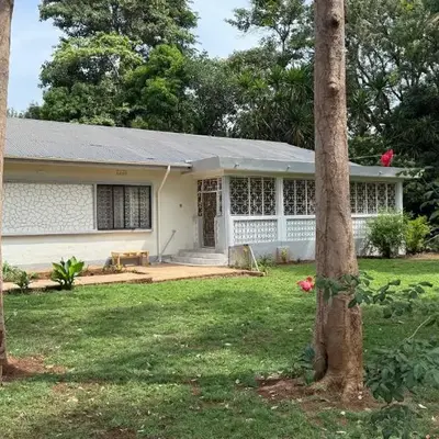 Malaika Oasis