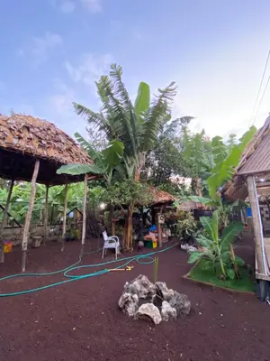 a backyard with a garden with a garden hose at KijijiShamba in Mto wa Mbu