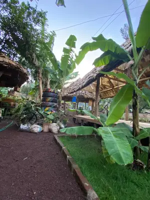 a garden with a hut and some plants at KijijiShamba in Mto wa Mbu