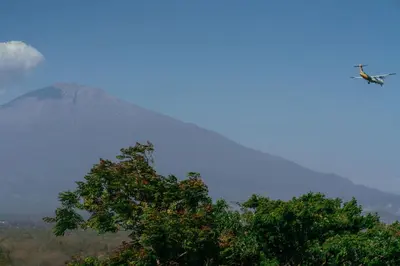 a plane flying over a tree with a volcano at The Scenery Residence in Arusha