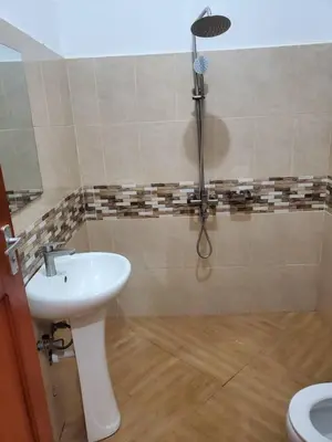 a bathroom with a sink and a shower at Shilling Stay in Moshi
