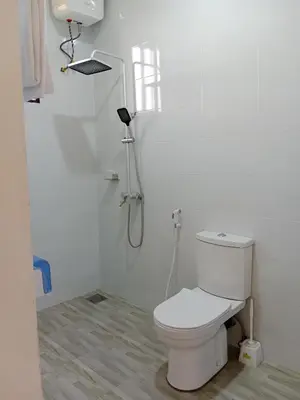 a white bathroom with a toilet and a shower at Hidalgo Home Apartment's in Moshi