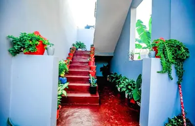 a stairway with red steps and potted plants at New Star House in Arusha