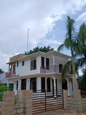 a house with a palm tree in front of it at Hidalgo Explorers Home in Moshi