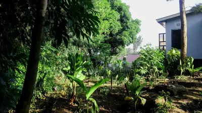 a garden in front of a house with trees and plants at Eheruro Homestay in Arusha