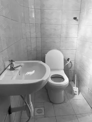 a bathroom with a toilet and a sink at Abba's Homestay in Arusha