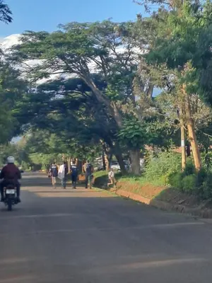 a group of people walking down a street with trees at Hans kili home in Moshi