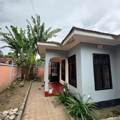 The Hut Hostel