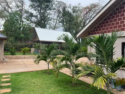 a group of palm trees in front of a house at Kiliastra Homes in Moshi
