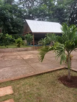 a small palm tree in front of a building at Kiliastra Homes in Moshi