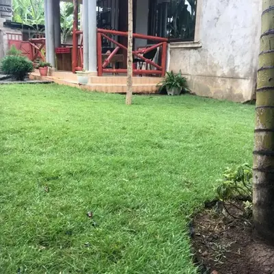 Humphrey home stay