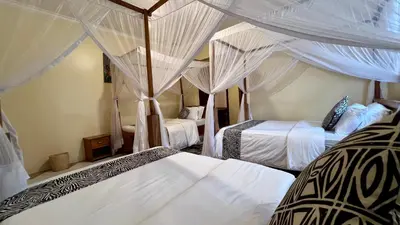 a bedroom with two beds with mosquito nets at Ultra Home Hostel in Arusha