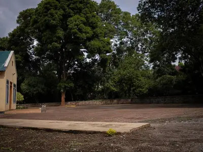 an empty parking lot with a large tree in the background at damanda homes in Moshi