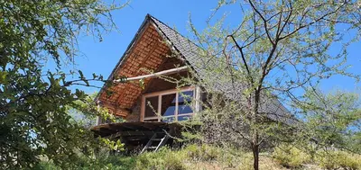 a house on top of a hill with trees at Shamba Pori Lodge in Idulo