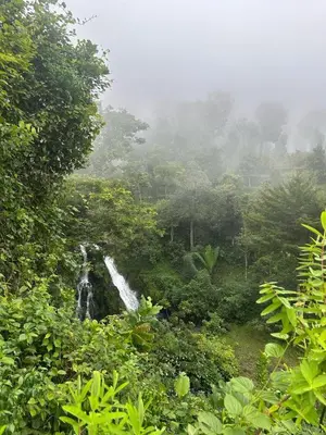 a waterfall in the middle of a lush green forest at Mai Kilimanjaro Home Stay in Moshi