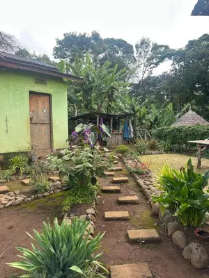 a garden with stepping stones in front of a house at Mai Kilimanjaro Home Stay in Moshi