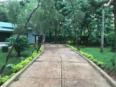 an empty road in a park with trees at Kitonga Escape in Msaranga