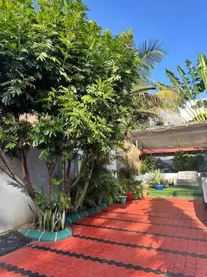 a red carpet with trees and plants on a sidewalk at Dema home in Arusha