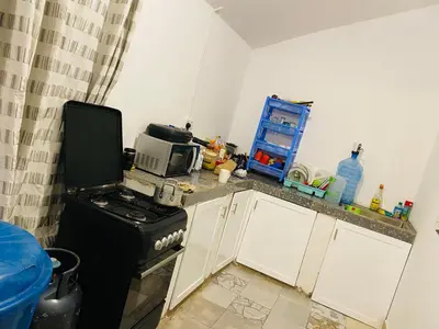 a small kitchen with a stove and a microwave at gustavo in Sokon