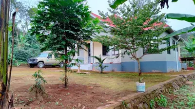 a house with two trees in front of it at Shio homestay in Uru
